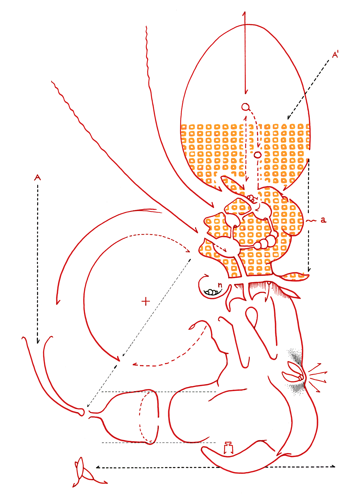 Hannes Kater  Tageszeichnung (Zeichnung/drawing) vom 13.11.2014 (1414 x 2000 Pixel)
