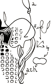 Hannes Kater  Detail einer Zeichnung 2026