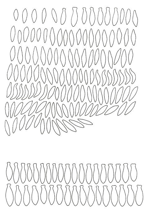 Hannes Kater - Studienblatt_1 zu Darsteller Nr. 22 "Blattamphore"