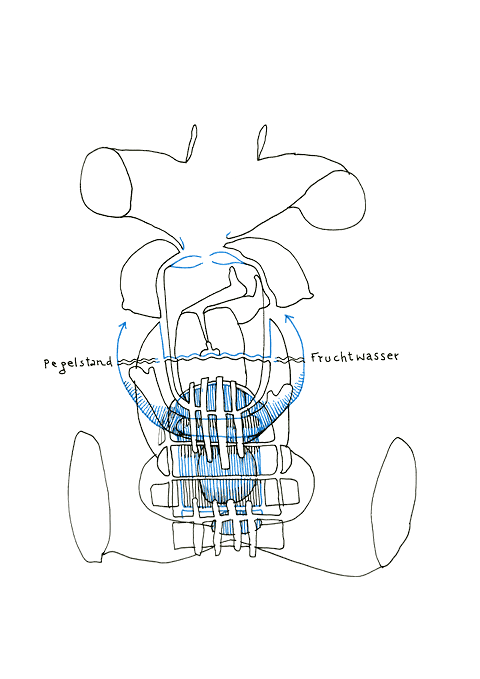 Hannes Kater - drawing from 12/08/2007