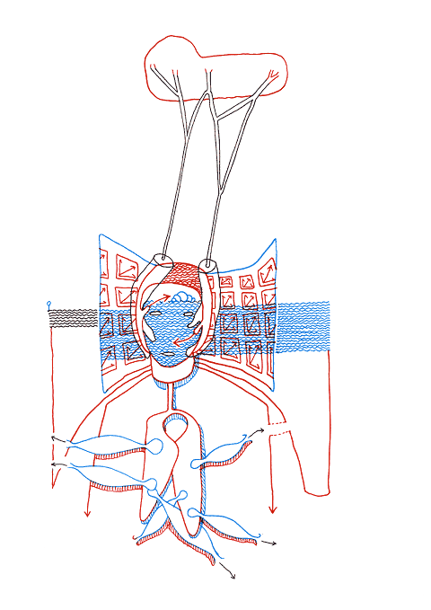 Hannes Kater - drawing from 09/11/2007