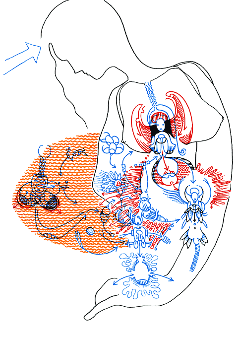 Hannes Kater - drawing from 10/02/2005