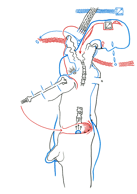 Hannes Kater - drawing from 11/06/2005