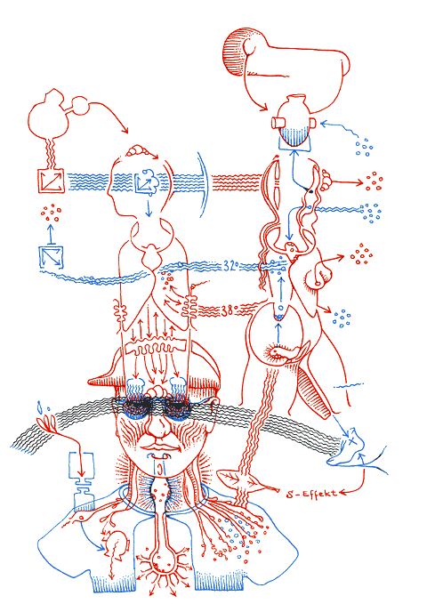 Hannes Kater - drawing from 06/05/2005