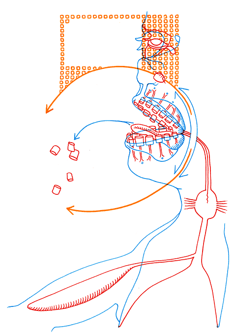 Hannes Kater - drawing from 08/17/2005