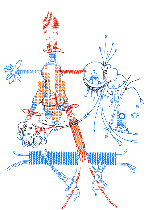 Hannes Kater - drawing from 04/20/2005