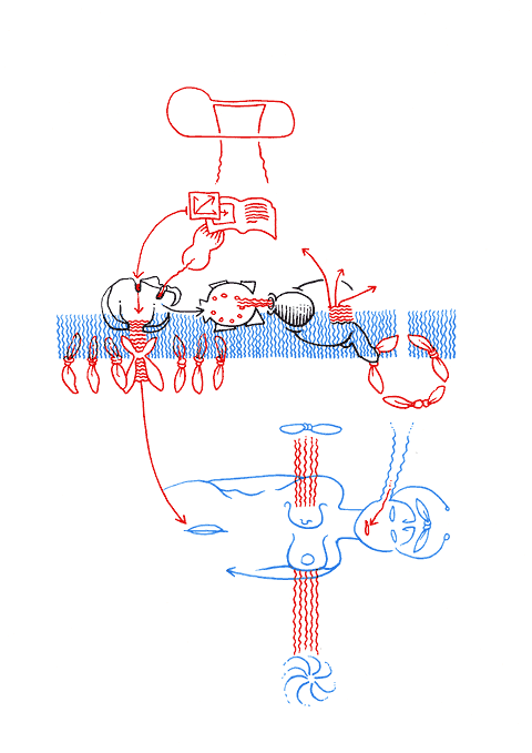 Hannes Kater - drawing from 03/10/2005