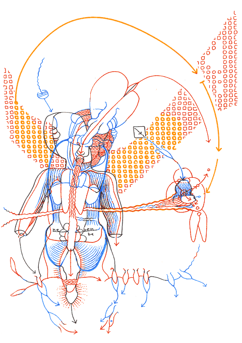 Hannes Kater - drawing from 01/18/2004