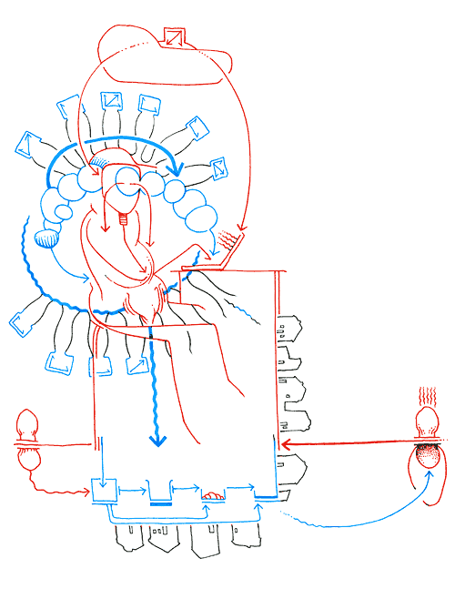 Hannes Kater - drawing from 01/30/2004