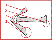 Grafik zum Lieblingspfeil Nr. 019 von Hannes Kater