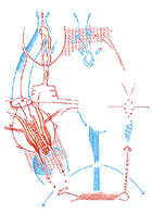 Hannes Kater: Auftragszeichnung Nr. 66_2 - 139x198 Pixel