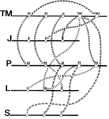 us Weston, P.: "To Uncover; To Deduce; To Conclude", Comp. Stud. in the Humanities and Verbal Behavior vol. 3(2), 1970