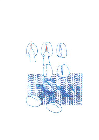 Hannes Kater - Bäckerzeichnung 014 - 381 x 539 Pixel