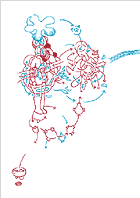 Hannes Kater - drawing 05/2001